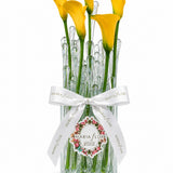 GOTA - CALLAS AMARELA - P