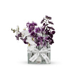 GOTA - ORQUÍDEA PHALAENOPSIS - M