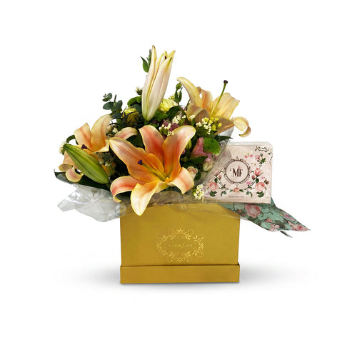BOX - ELEGANCE