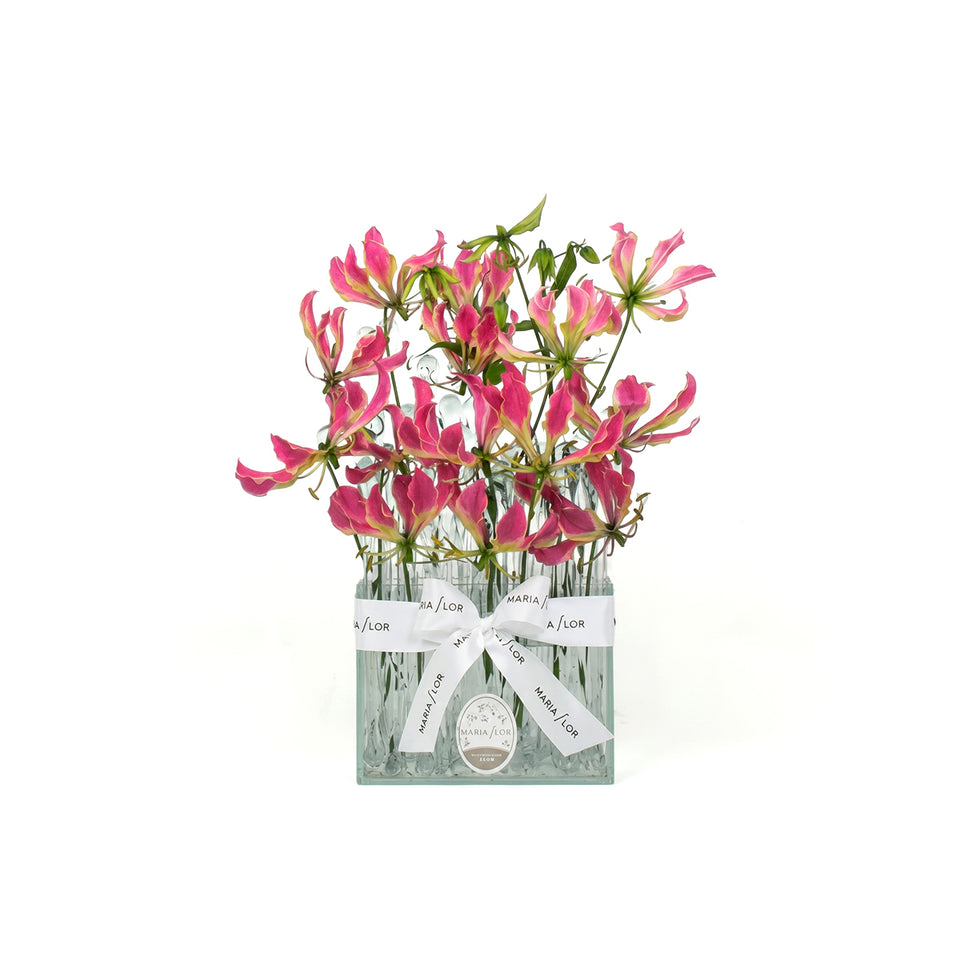GOTA - GLORIOSA - M