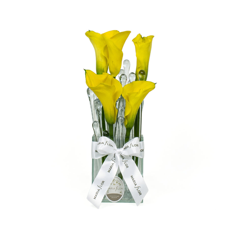 GOTA - CALLAS AMARELA - P