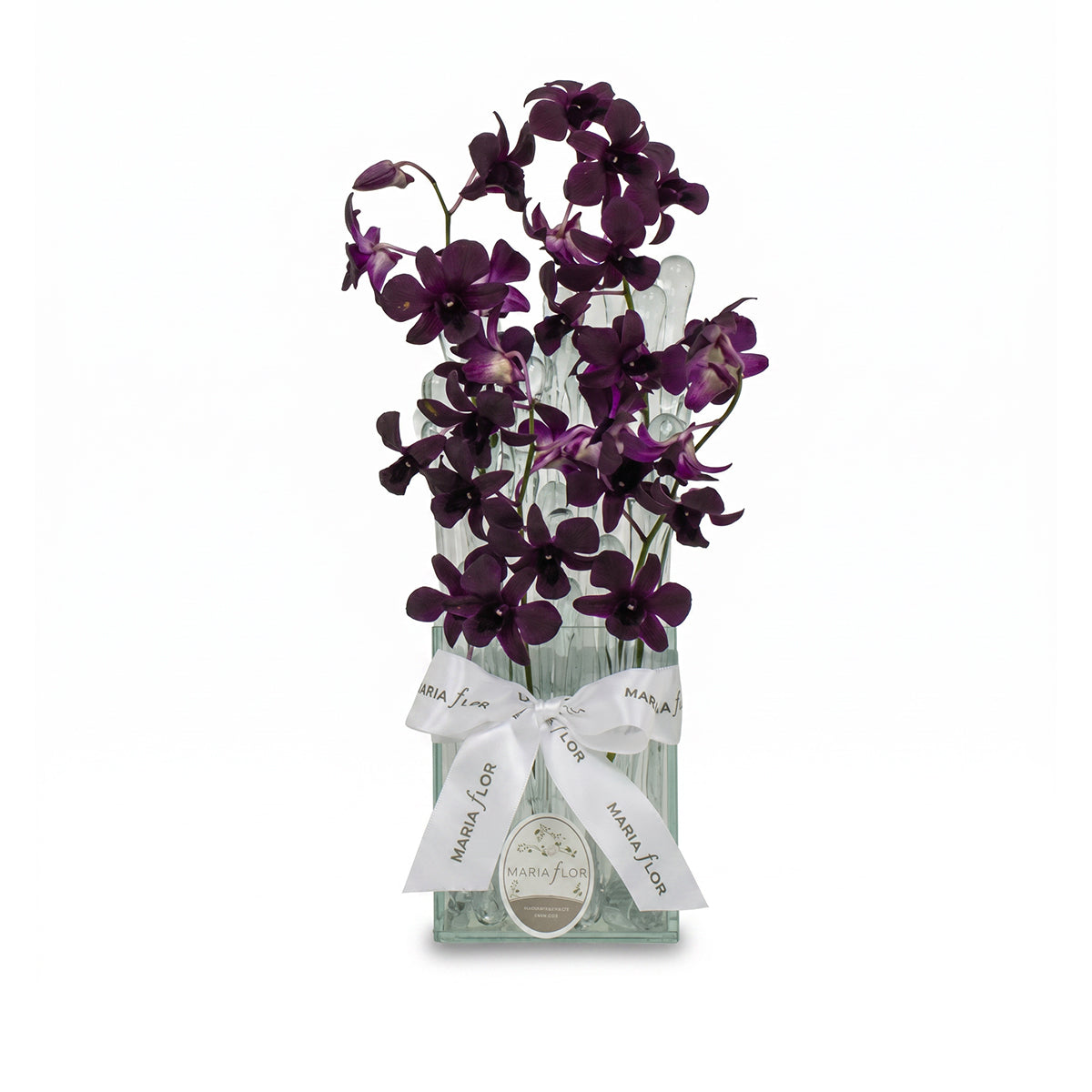 GOTA - ORQUÍDEA DENFALIS - P