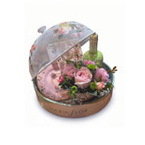 KIT - TEA GARDEN