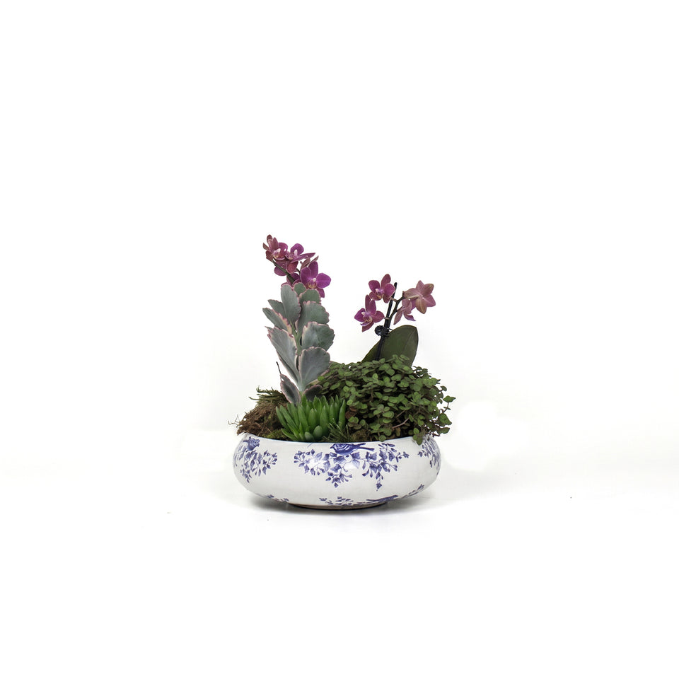 MINI GARDEN - PREMIUM