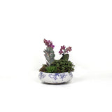 MINI GARDEN - PREMIUM