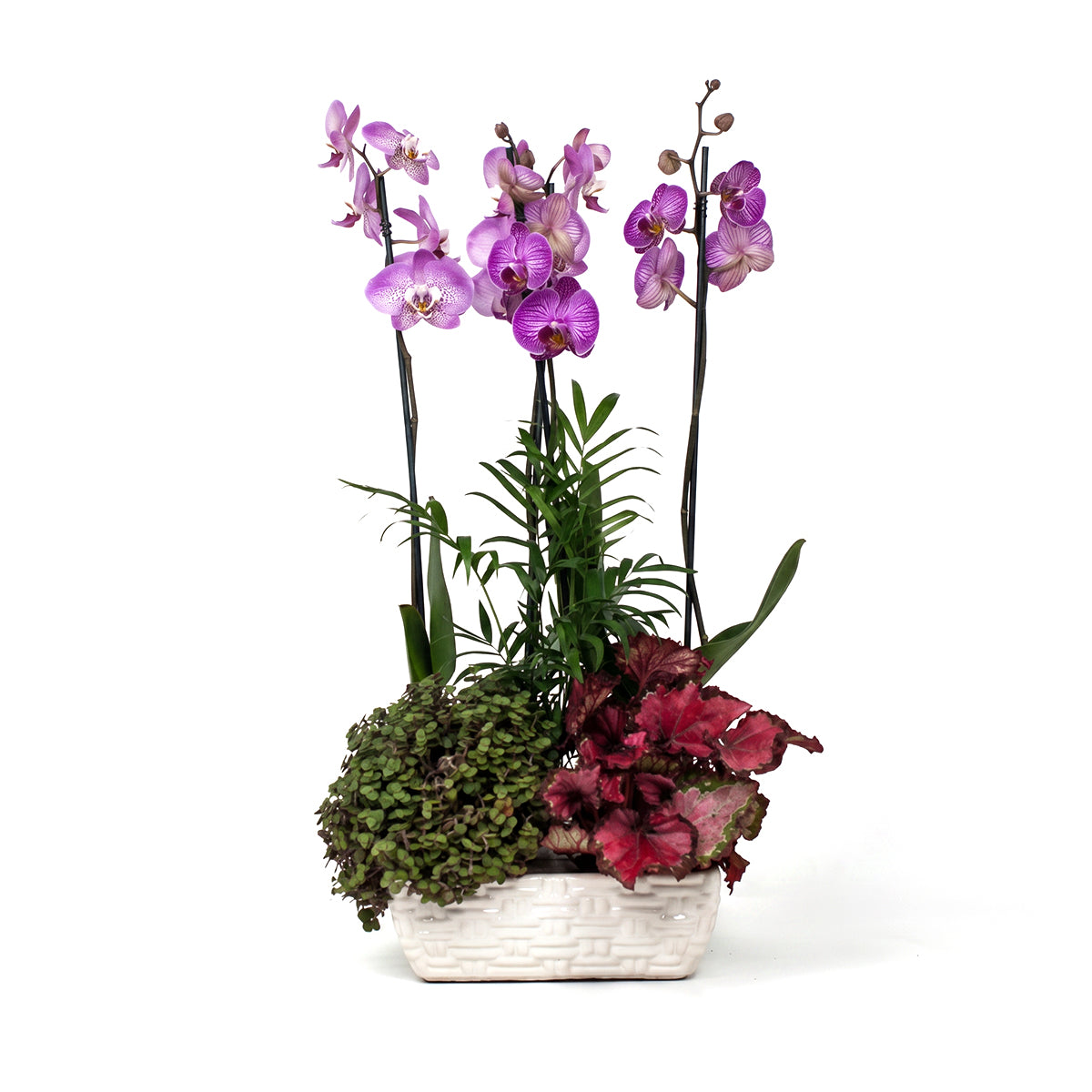 MINI GARDEN - FANTASTIC