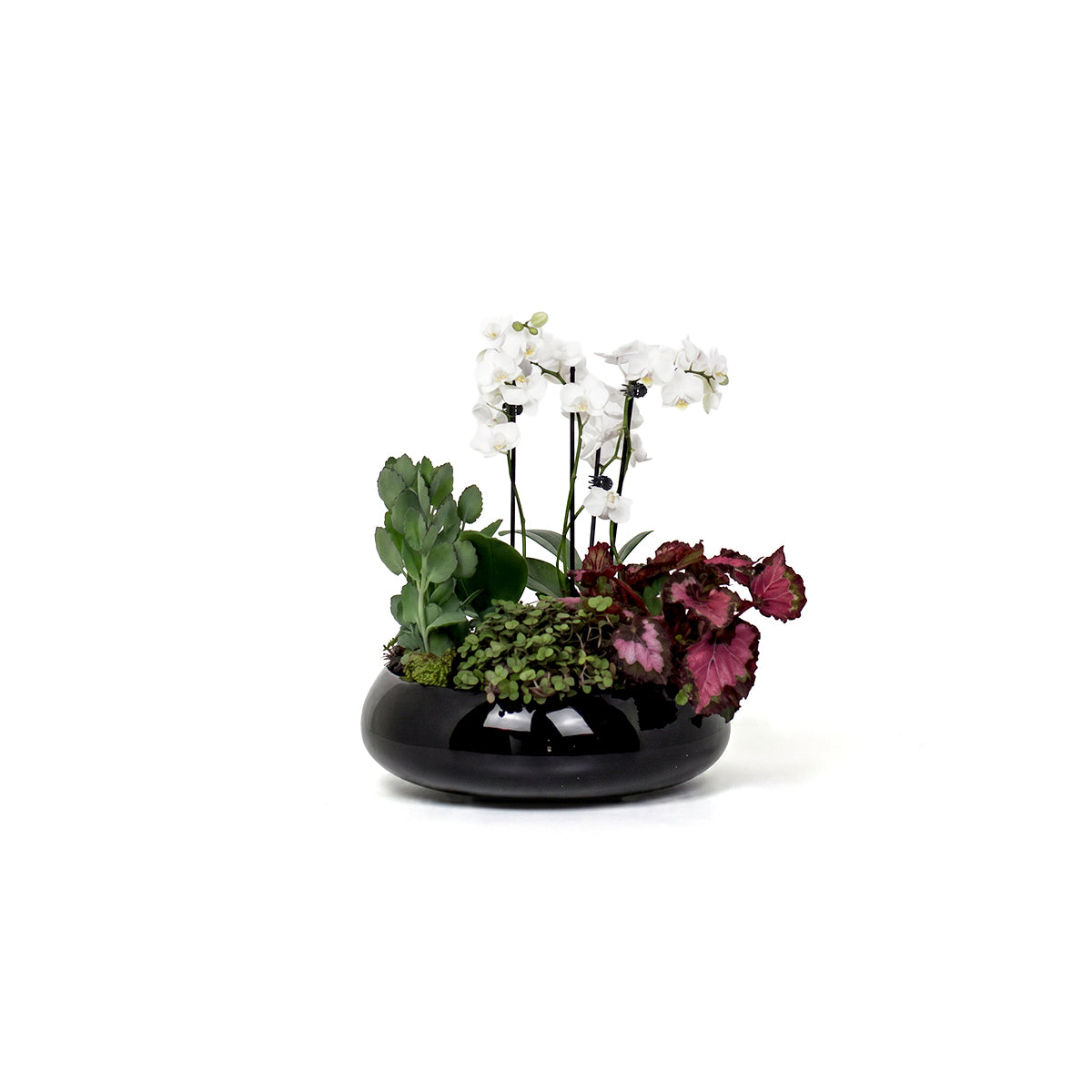 MINI GARDEN - SECRET