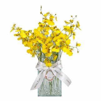 GOTA P - CHUVA DE OURO